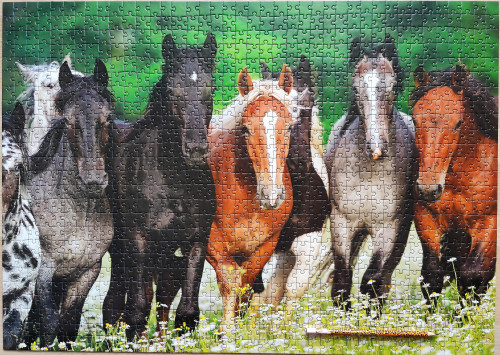 IMG20230220134420.jpg (2.72 МБ) 810 просмотров IMG20230220134420.jpg