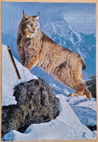 пазлозима 19.jpg