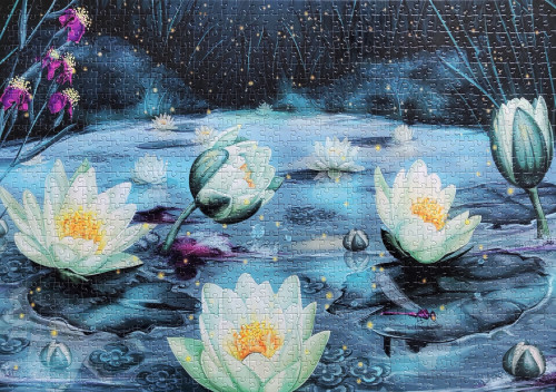 374_цветы лотоса_нова_1000.jpg (2.05 МБ) 3739 просмотров 374_цветы лотоса_нова_1000.jpg