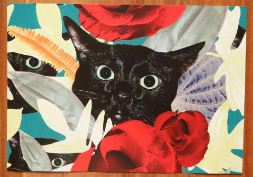 IMG_20230710_191542.jpg (1.46 МБ) 4459 просмотров IMG_20230710_191542.jpg