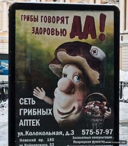 грибы.jpg