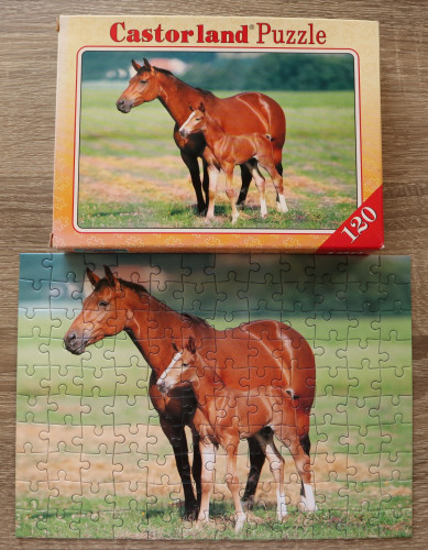 IMG_20240212_185857.jpg (1.3 МБ) 2813 просмотров IMG_20240212_185857.jpg