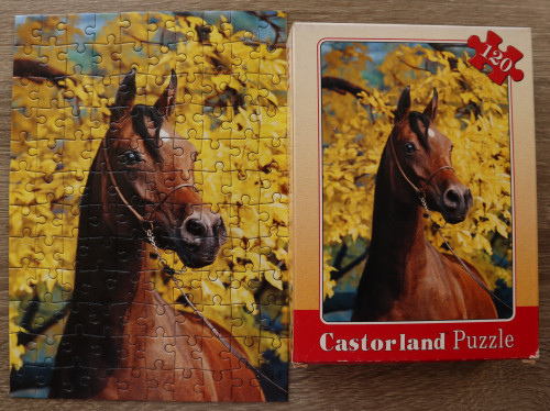 IMG_20240212_190243.jpg (1.51 МБ) 2824 просмотра IMG_20240212_190243.jpg