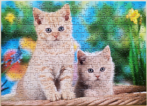 IMG_20240628_092835.jpg (2.22 МБ) 3939 просмотров IMG_20240628_092835.jpg