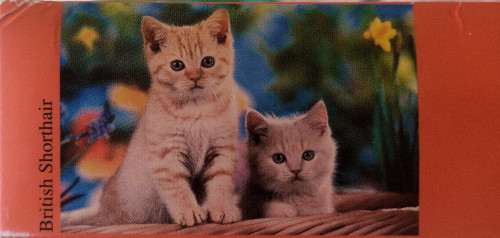 IMG_20240628_093018.jpg (1.04 МБ) 2725 просмотров IMG_20240628_093018.jpg