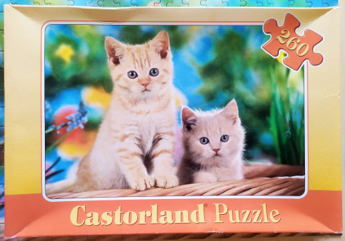 IMG_20240628_092949.jpg (1.58 МБ) 2725 просмотров IMG_20240628_092949.jpg