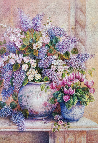 416_сирень_кастор_1500.jpg