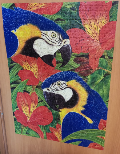 1728396180350.jpg (1.48 МБ) 717 просмотров 1728396180350.jpg