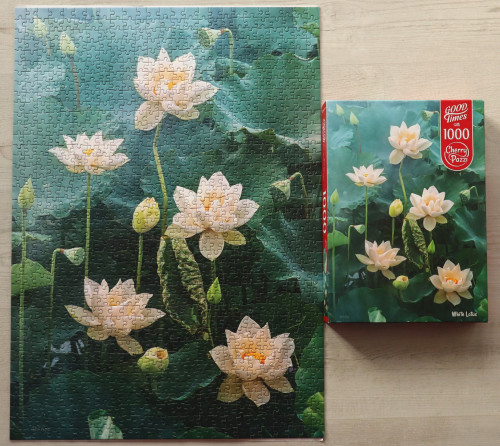 IMG_20241029_110201.jpg (1.58 МБ) 322 просмотра IMG_20241029_110201.jpg