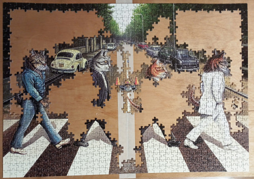 Пазл ArtPuzzle 1000 Переход сбр2.jpg