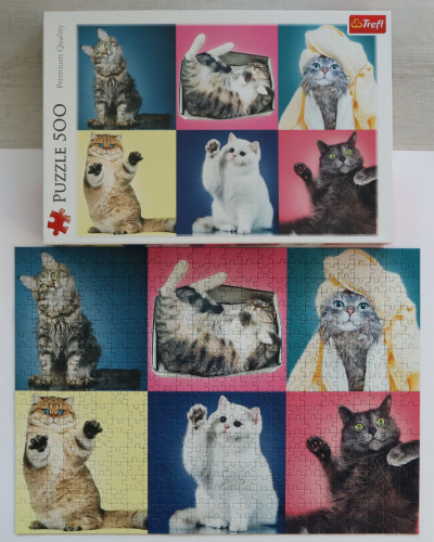 IMG_20250114_155413.jpg (971.71 КБ) 769 просмотров IMG_20250114_155413.jpg