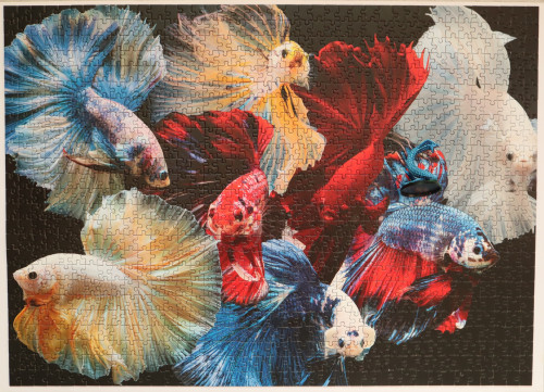 IMG_20250203_151403.jpg (1.83 МБ) 876 просмотров IMG_20250203_151403.jpg