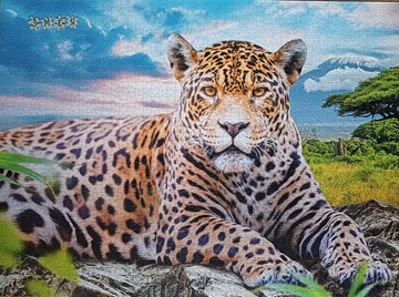 02.02.2025 - 05.02.2025.jpg