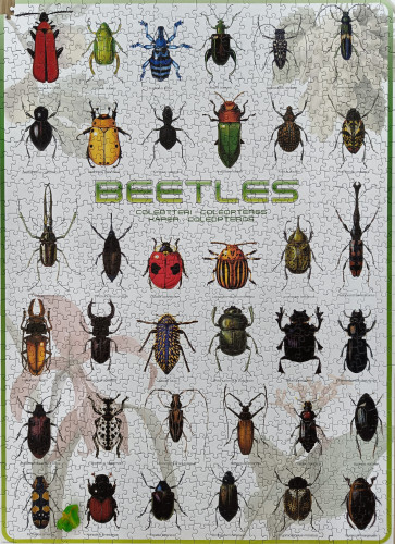 IMG_20250209_122928_copy_2828x3896.jpg (2.73 МБ) 466 просмотров IMG_20250209_122928_copy_2828x3896.jpg