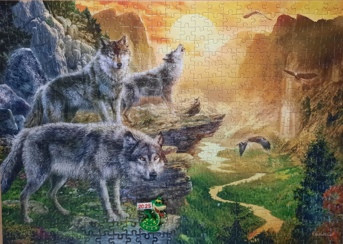 20250216_115405.jpg