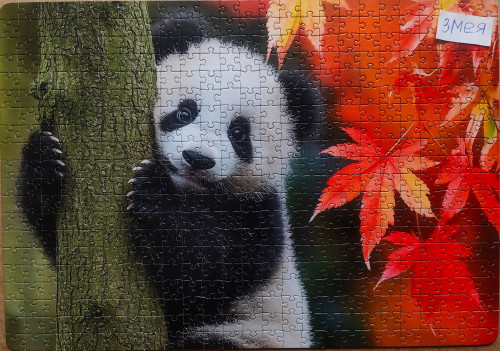 IMG20250227141543.jpg (2.21 МБ) 823 просмотра IMG20250227141543.jpg