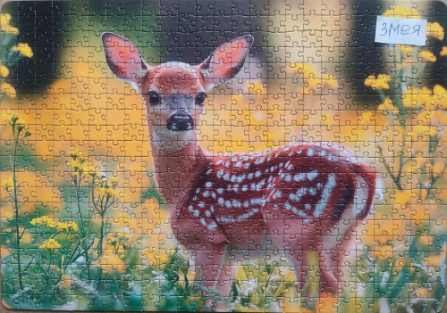 IMG20250227141233.jpg (2.39 МБ) 819 просмотров IMG20250227141233.jpg