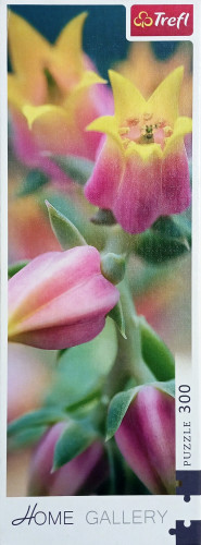 Пазл Trefl 300 Цветок кор1.jpg