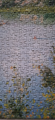 20250414_174335.jpg