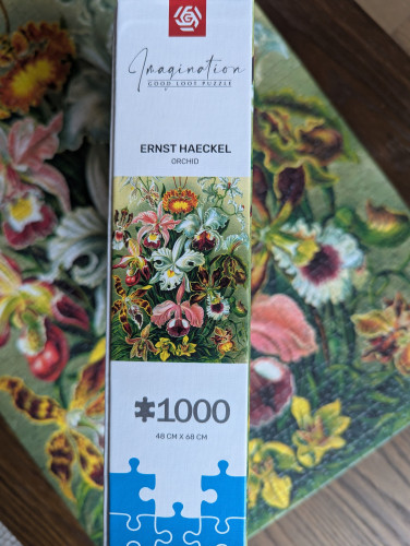 1000078968.jpg