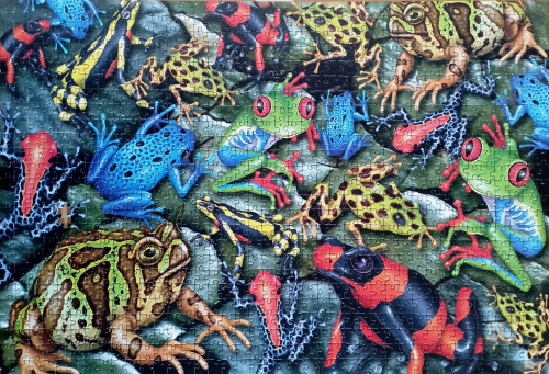 Пазл Piatnik 1000 Лягушки осн.jpg