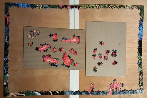 Пазл Piatnik 1000 Лягушки сбр1.jpg