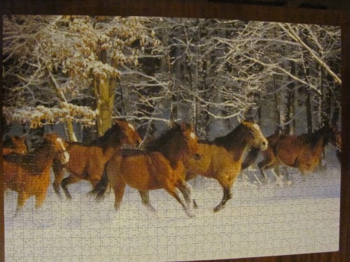 IMG_1110.JPG (3 МБ) 2670 просмотров Подарок от Dracula-station, привезенный из Бельгии в этом году с чемпионата Европы)))