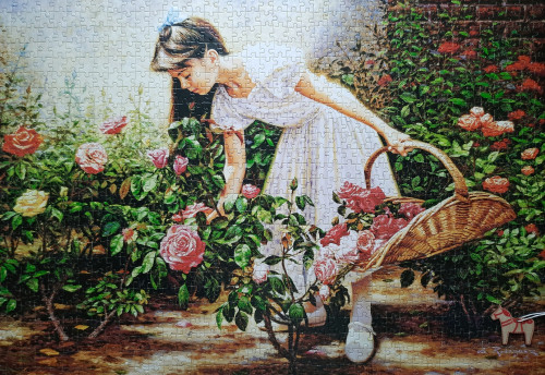 20251216_101152.jpg (3.82 МБ) 1131 просмотр Сборка 14 -15.12.2025<br />At the rose garden / Castorland / 1000