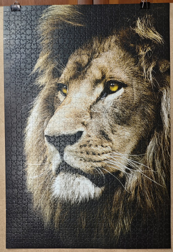 IMG_20251226_145911.jpg (5.35 МБ) 1174 просмотра IMG_20251226_145911.jpg