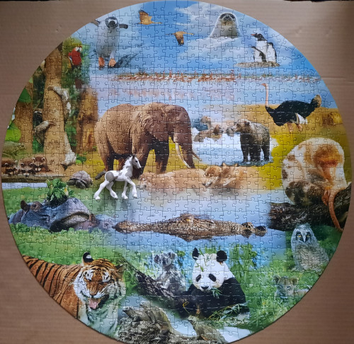 20251227_135527.jpg (2.25 МБ) 402 просмотра 20251227_135527.jpg