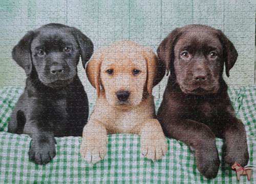 Сборка 29-30.12.2025<br />Three labs / Clementoni / 1000 (1008)