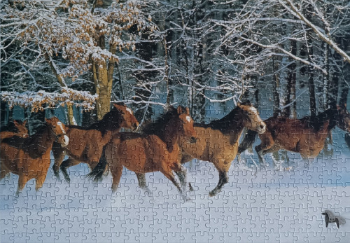 IMG_20260107_154331.jpg (1.47 МБ) 780 просмотров IMG_20260107_154331.jpg