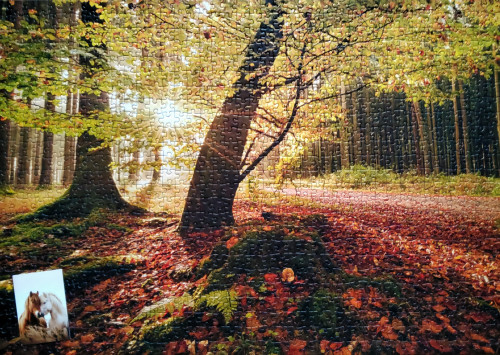 20260226_170740.jpg