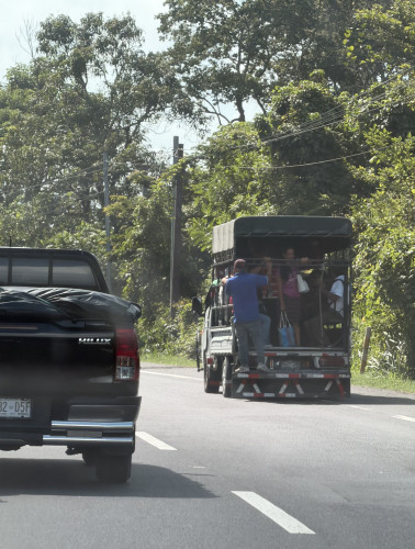IMG_1271.jpeg