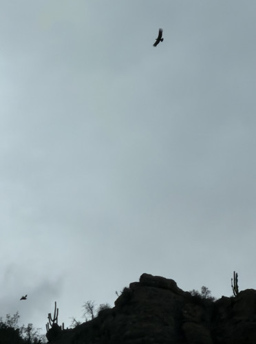 IMG_7948.jpeg