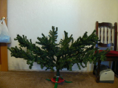 P1040677-1.jpg