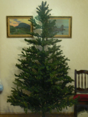 P1040680-1.jpg