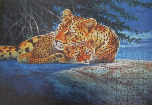 02.11.11 (Павильон камера) 005.jpg