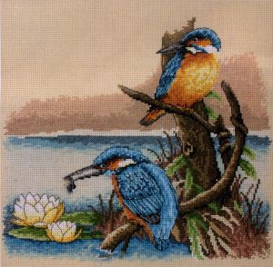 the kingfishers.jpg