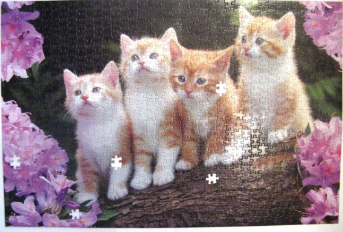 IMG_0422.jpg (1.01 МБ) 5458 просмотров IMG_0422.jpg