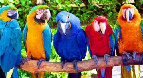 11289.jpg (21.28 КБ) 3986 просмотров 11289.jpg