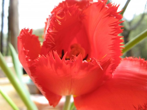 a_IMG_8938.jpg (135.93 КБ) 9784 просмотра И я - тоже