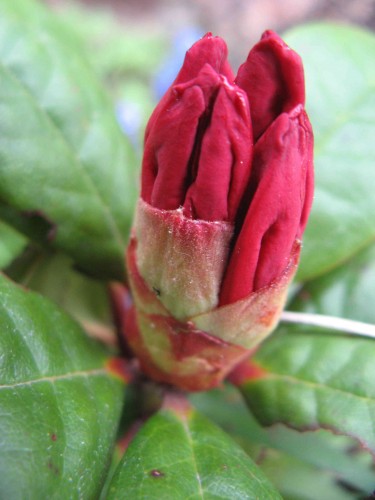 a_IMG_8956.jpg
