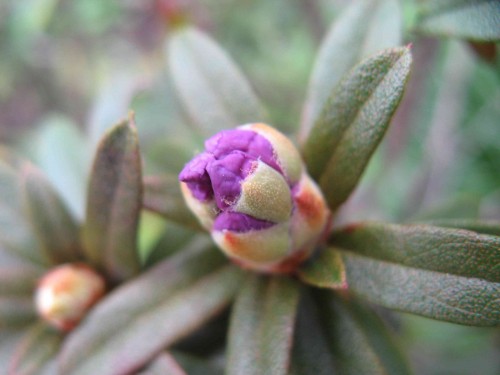 a_IMG_8959.jpg