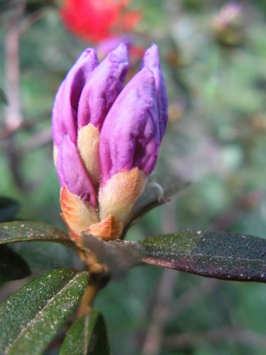 a_IMG_9031.jpg