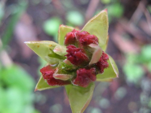a_IMG_8973.jpg