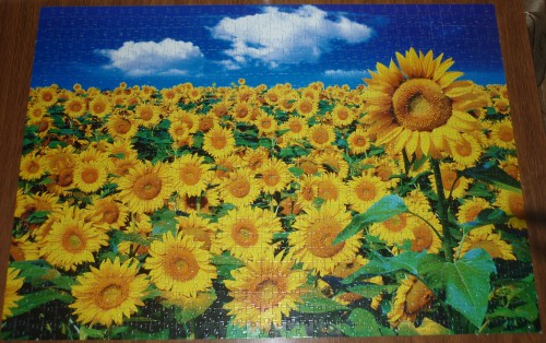 P1010627.JPG (3.32 МБ) 3102 просмотра P1010627.JPG