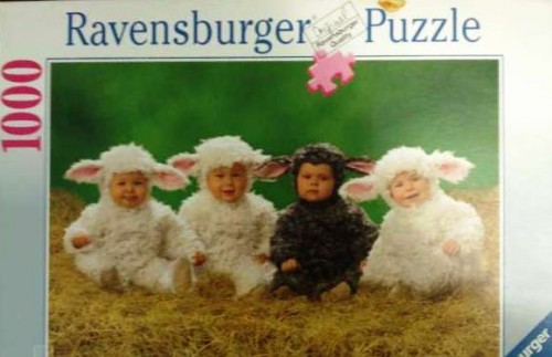 Сладкие маленькие ягнята, 1000-коробка.jpg