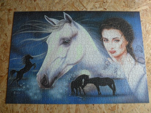 Друзья навсегда, 1000-собранный пазл.JPG