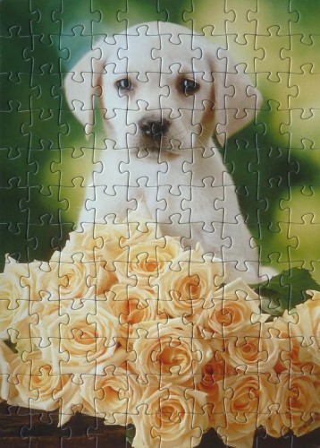 Step - 120 - Золотая серия-9 животные - 75009.jpg (325.24 КБ) 2473 просмотра Step - 120 - Золотая серия-9 животные - 75009.jpg